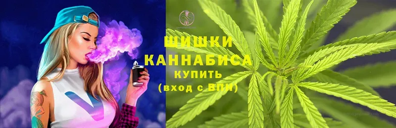 где можно купить   Люберцы  Бошки марихуана THC 21% 